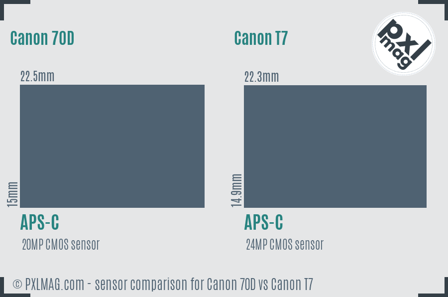 Canon 70D vs Canon T7 sensor size comparison