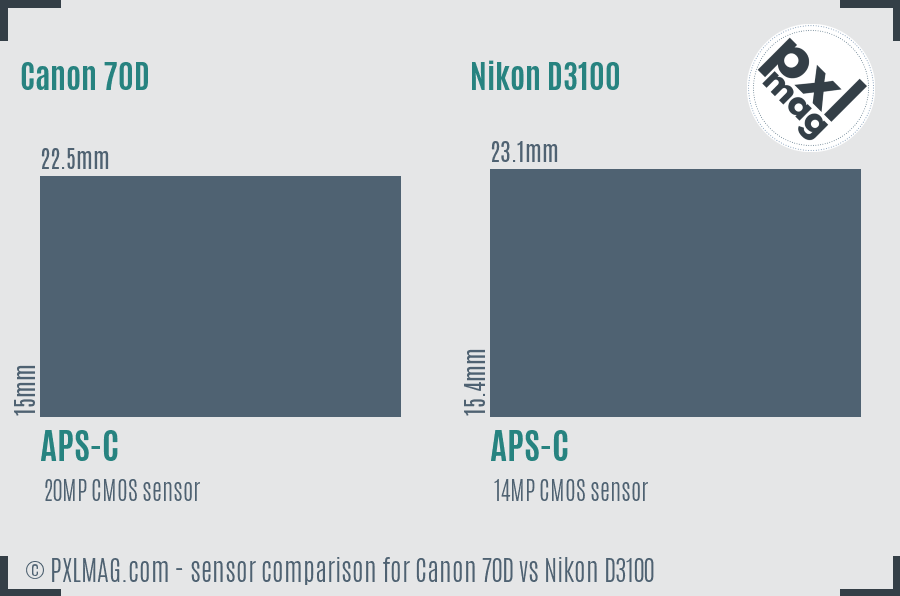 Canon 70D vs Nikon D3100 sensor size comparison
