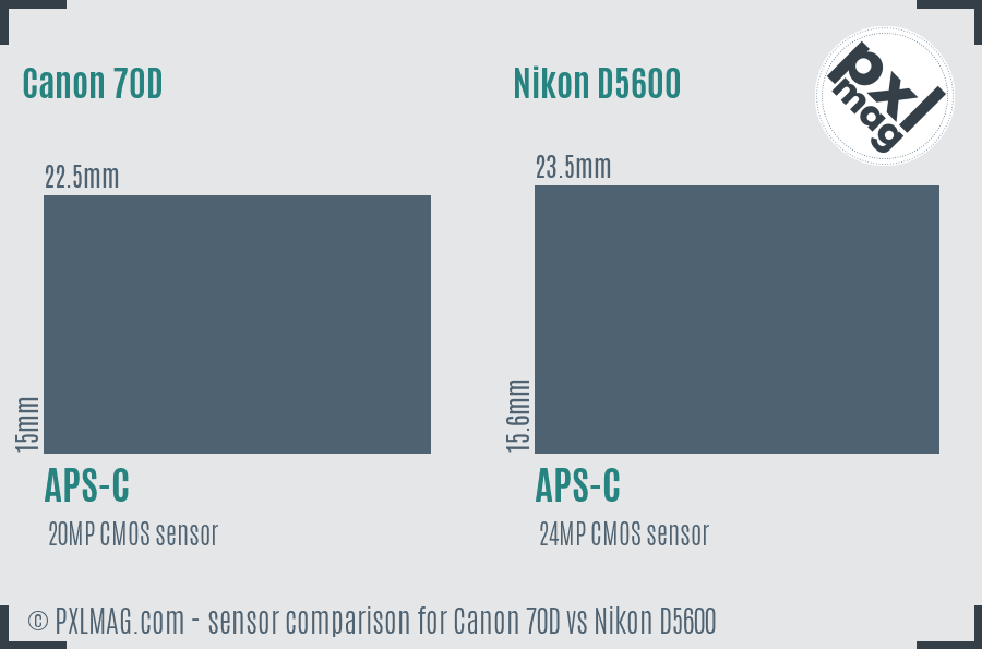 Canon 70D vs Nikon D5600 sensor size comparison Canon 70D vs Nikon D5600 sensor size comparison