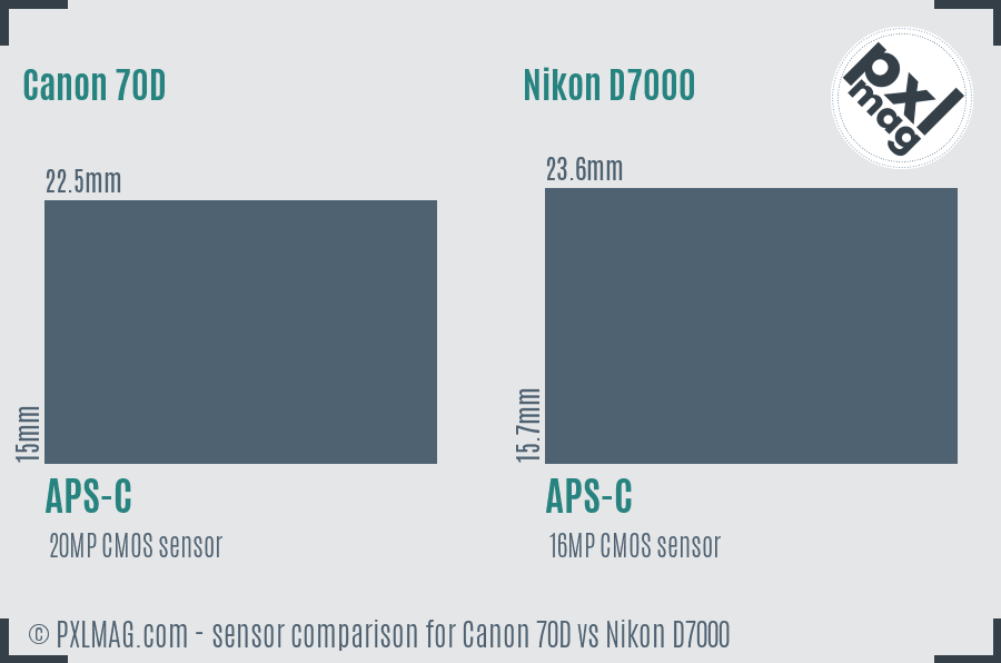 Canon 70D vs Nikon D7000 sensor size comparison