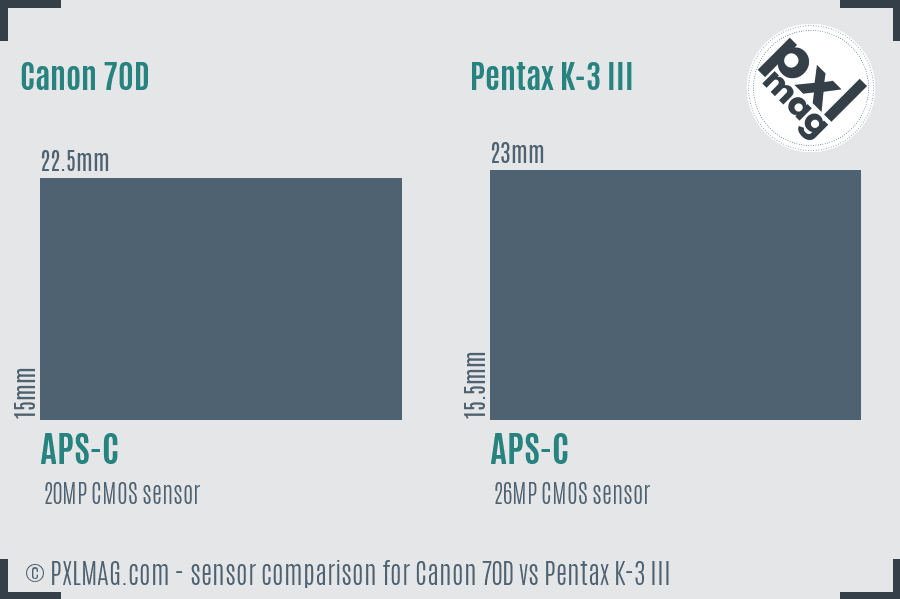 Canon 70D vs Pentax K-3 III sensor size comparison