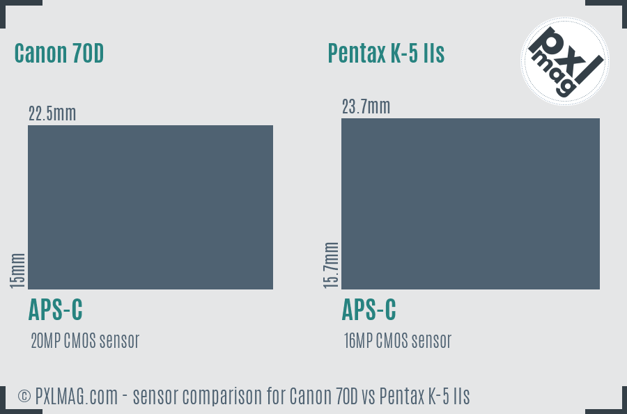 Canon 70D vs Pentax K-5 IIs sensor size comparison