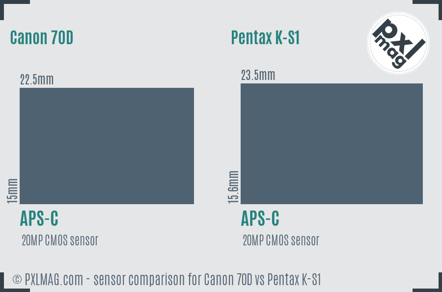 Canon 70D vs Pentax K-S1 sensor size comparison Canon 70D vs Pentax K-S1 sensor size comparison