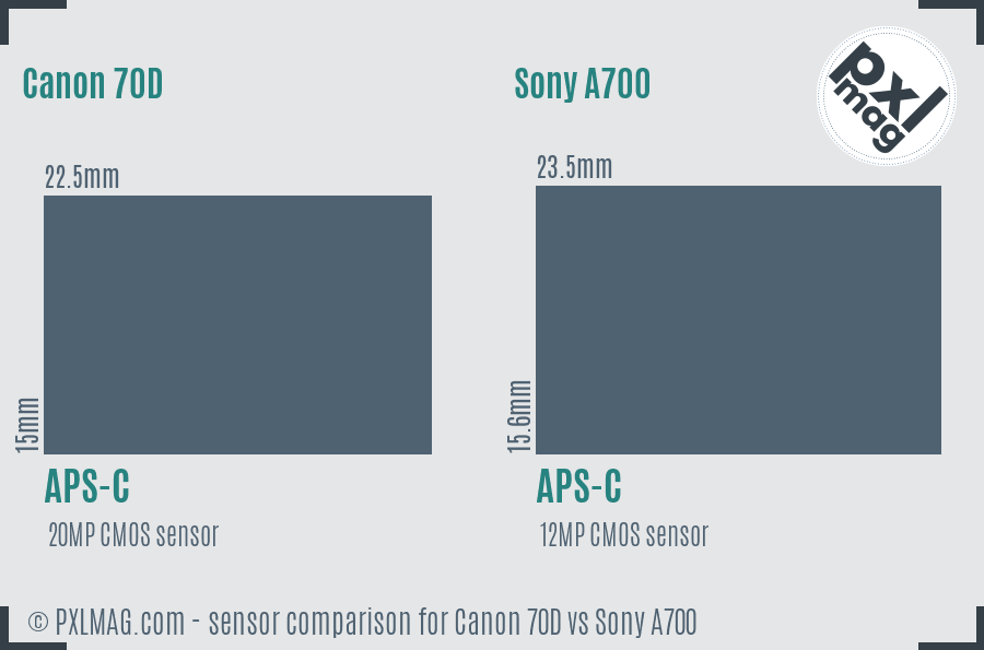 Canon 70D vs Sony A700 sensor size comparison