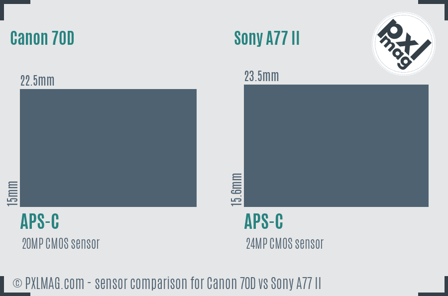 Canon 70D vs Sony A77 II sensor size comparison