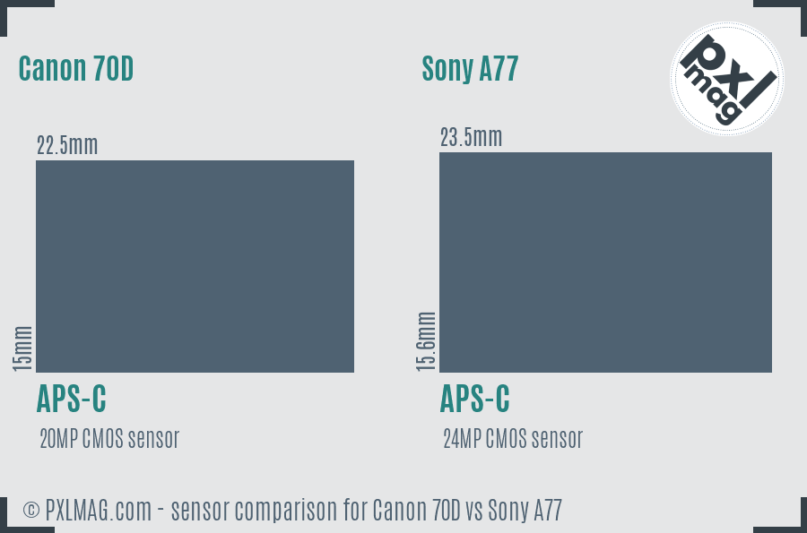 Canon 70D vs Sony A77 sensor size comparison