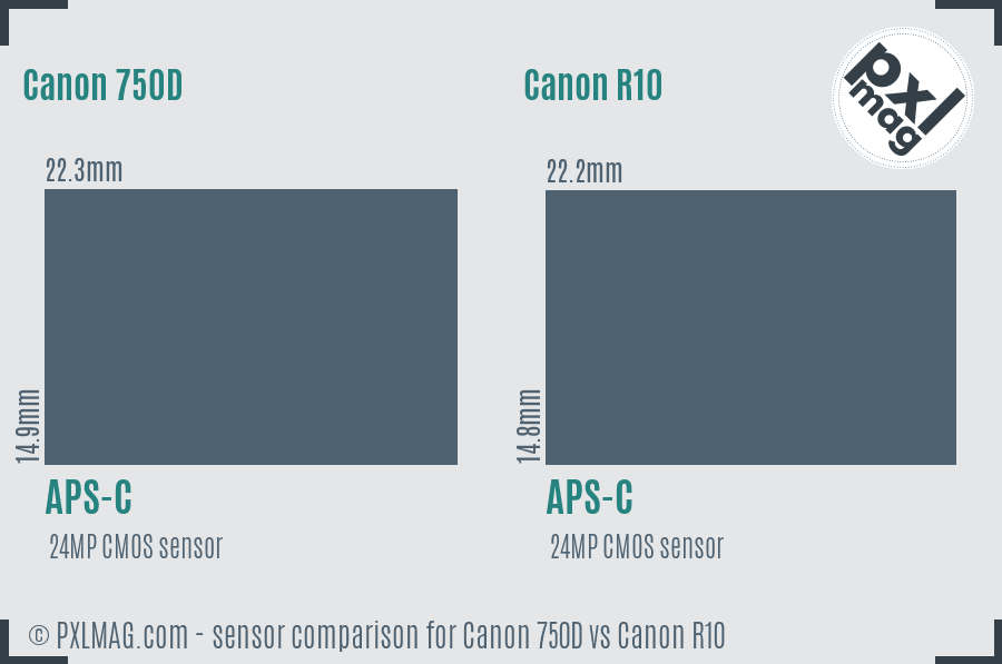 Canon 750D vs Canon R10 sensor size comparison