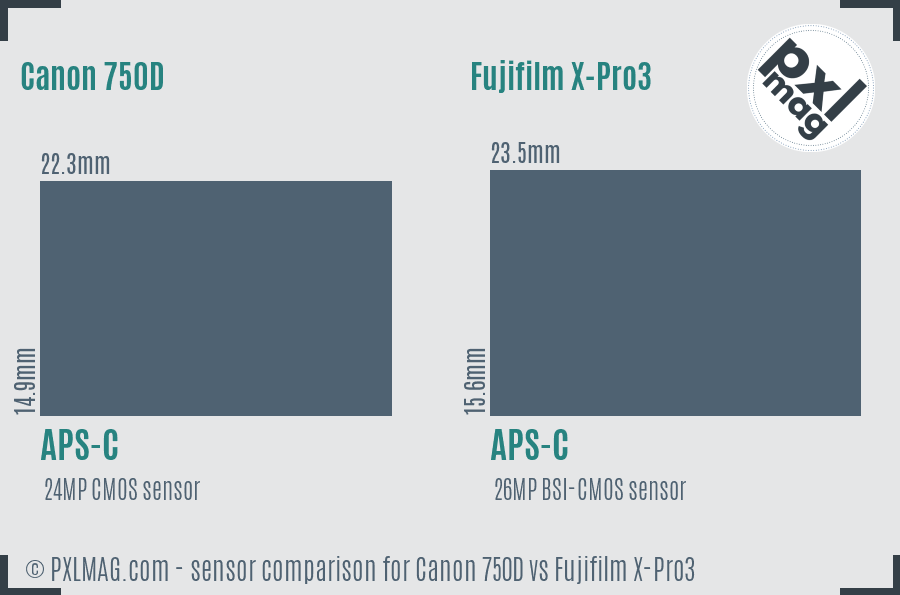 Canon 750D vs Fujifilm X-Pro3 sensor size comparison