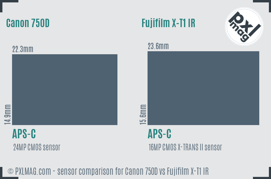 Canon 750D vs Fujifilm X-T1 IR sensor size comparison