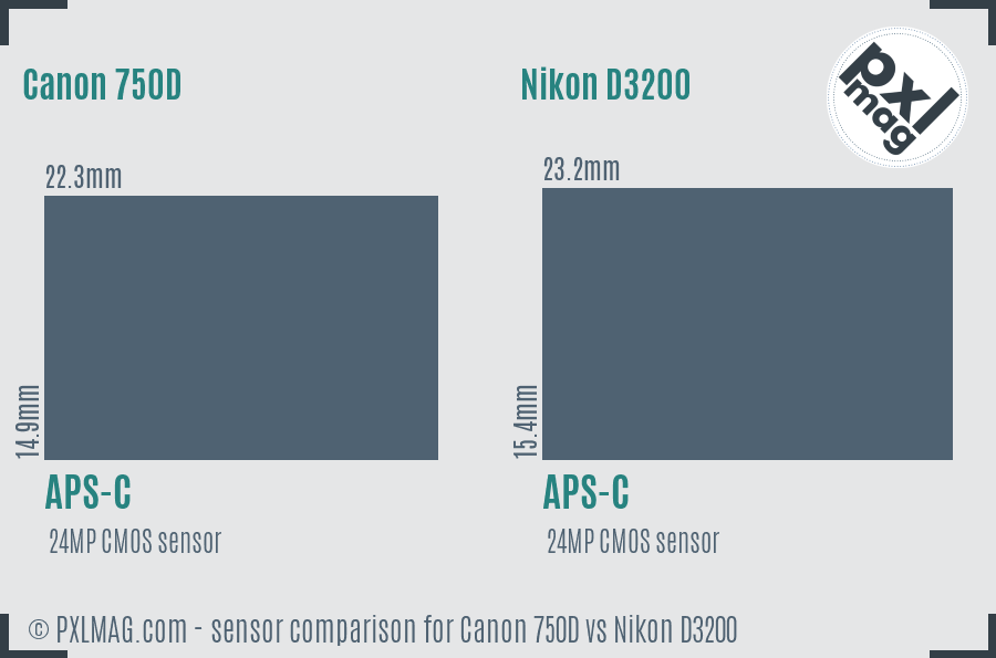 Canon 750D vs Nikon D3200 sensor size comparison