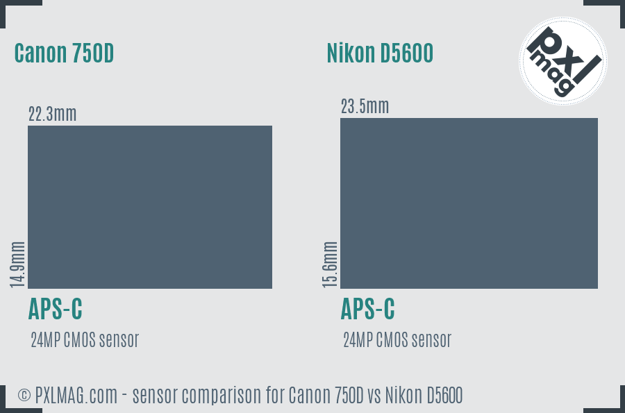 Canon 750D vs Nikon D5600 sensor size comparison