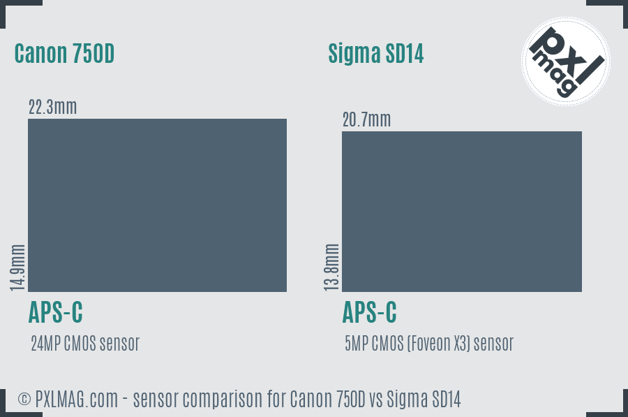 Canon 750D vs Sigma SD14 sensor size comparison