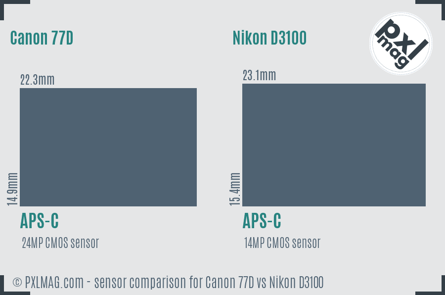 Canon 77D vs Nikon D3100 sensor size comparison