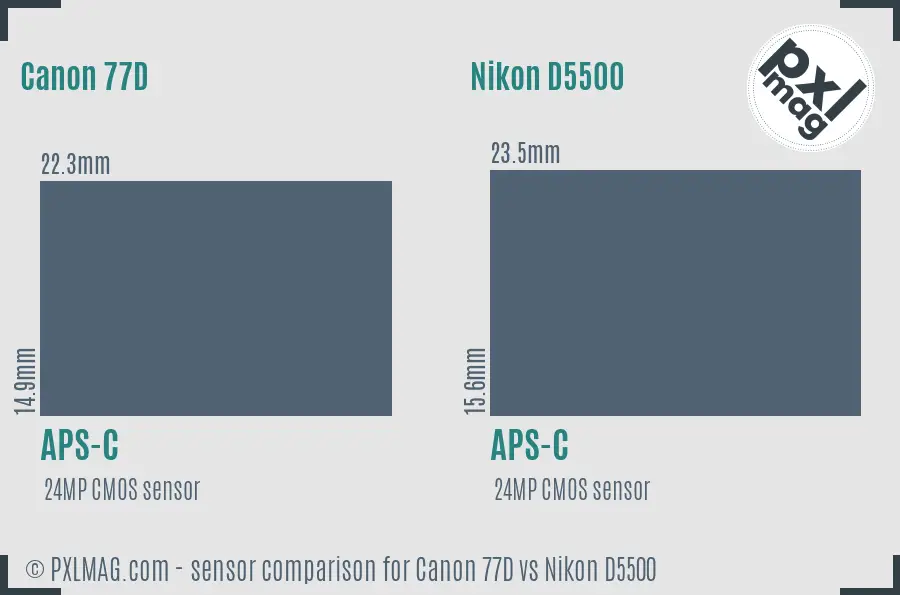 Canon 77D vs Nikon D5500 sensor size comparison