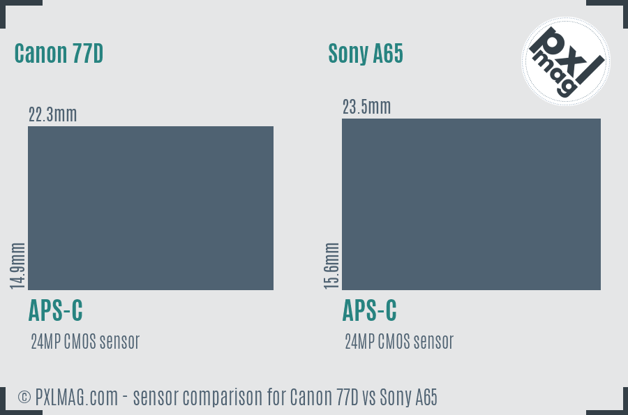 Canon 77D vs Sony A65 sensor size comparison