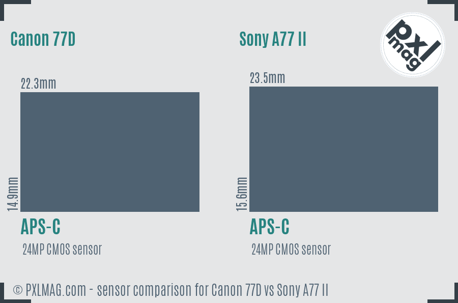 Canon 77D vs Sony A77 II sensor size comparison