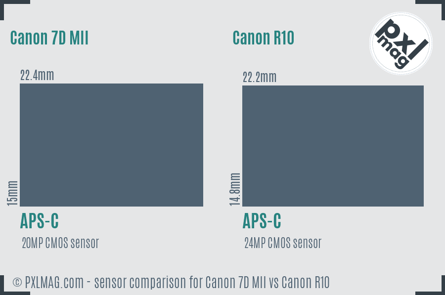 Canon 7D MII vs Canon R10 sensor size comparison Canon 7D MII vs Canon R10 sensor size comparison