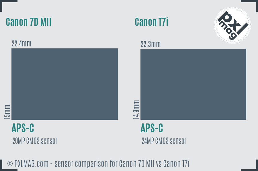 Canon 7D MII vs Canon T7i sensor size comparison