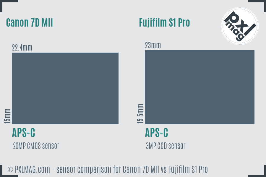 Canon 7D MII vs Fujifilm S1 Pro sensor size comparison