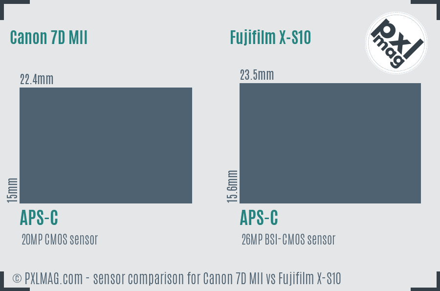 Canon 7D MII vs Fujifilm X-S10 sensor size comparison