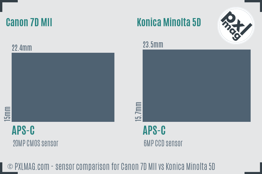 Canon 7D MII vs Konica Minolta 5D sensor size comparison