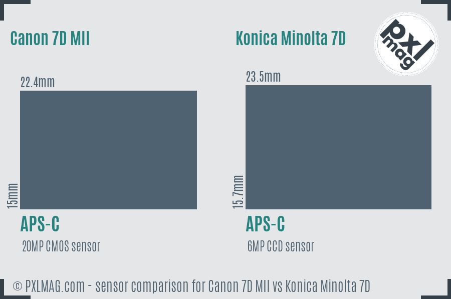 Canon 7D MII vs Konica Minolta 7D sensor size comparison