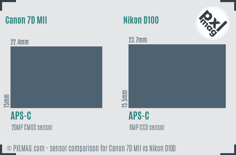 Canon 7D MII vs Nikon D100 sensor size comparison