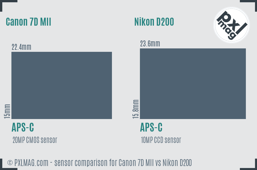 Canon 7D MII vs Nikon D200 sensor size comparison