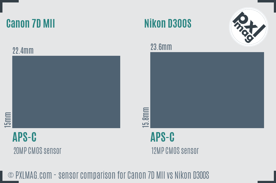Canon 7D MII vs Nikon D300S sensor size comparison