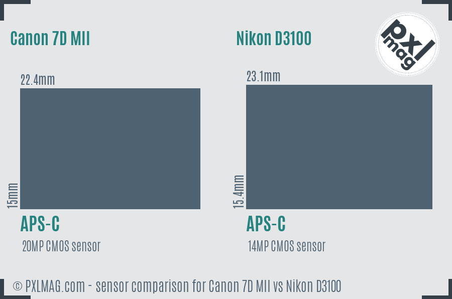 Canon 7D MII vs Nikon D3100 sensor size comparison