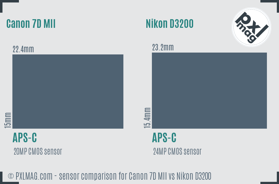 Canon 7D MII vs Nikon D3200 sensor size comparison