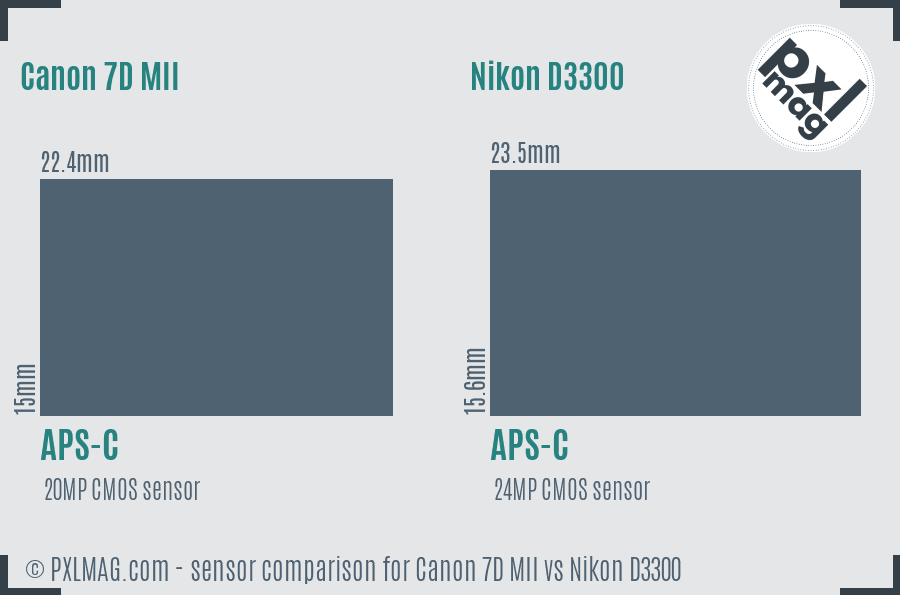 Canon 7D MII vs Nikon D3300 sensor size comparison