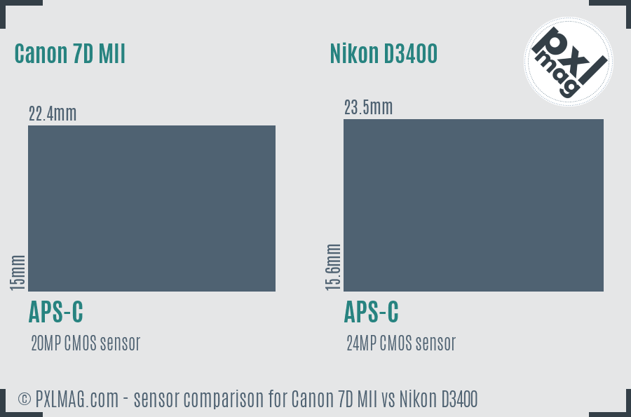 Canon 7D MII vs Nikon D3400 sensor size comparison