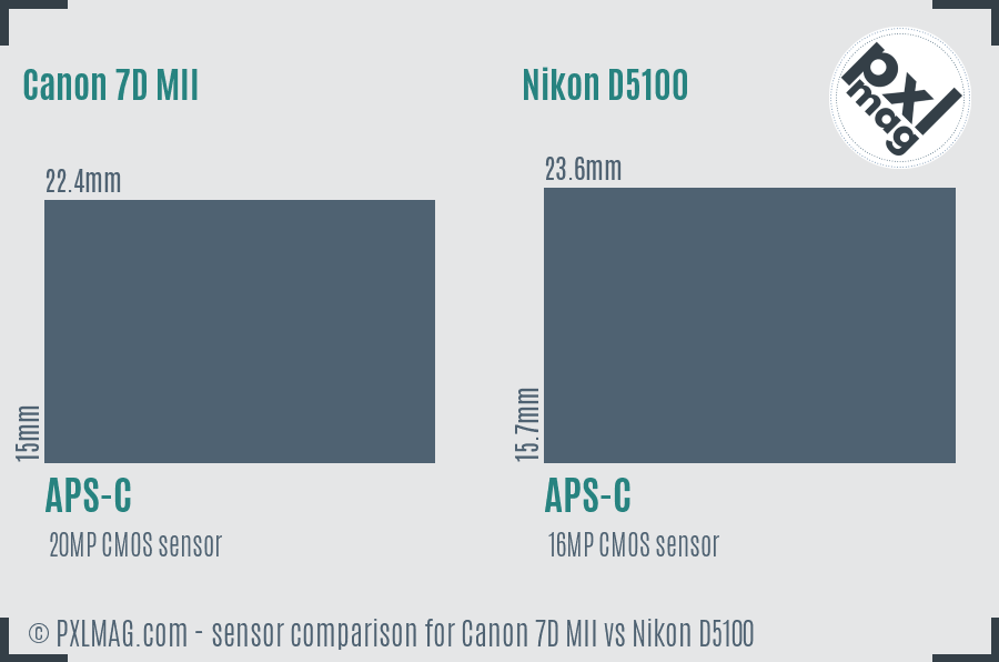 Canon 7D MII vs Nikon D5100 sensor size comparison Canon 7D MII vs Nikon D5100 sensor size comparison