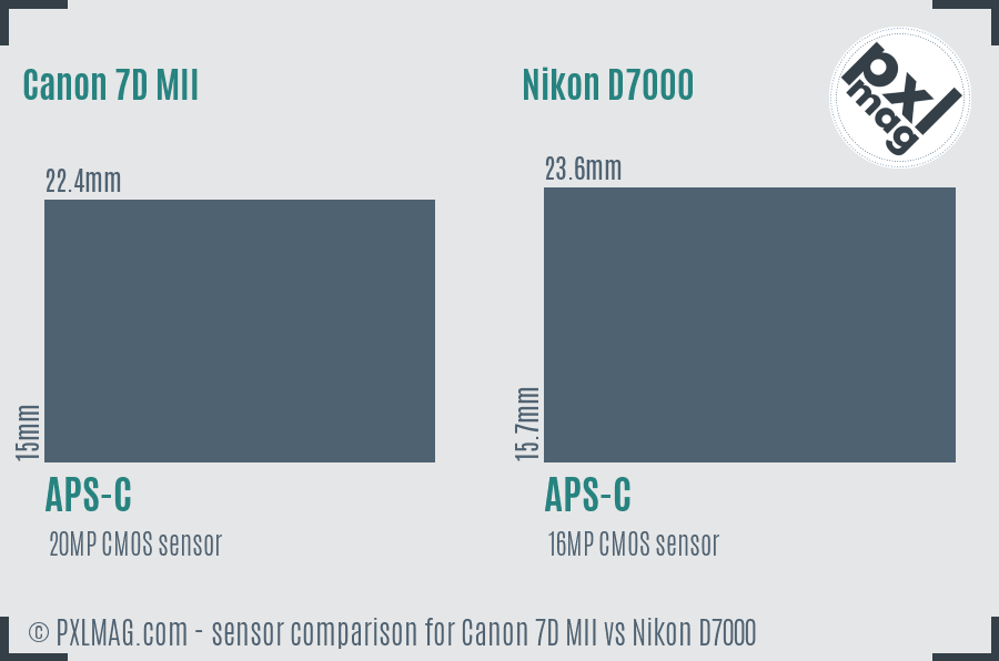 Canon 7D MII vs Nikon D7000 sensor size comparison