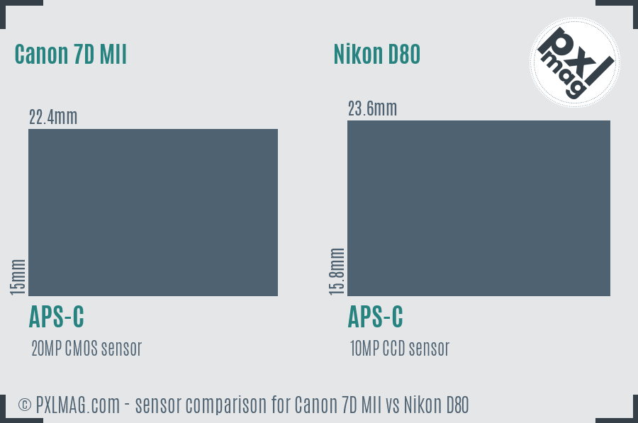 Canon 7D MII vs Nikon D80 sensor size comparison