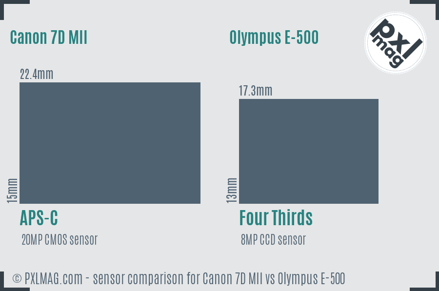 Canon 7D MII vs Olympus E-500 sensor size comparison
