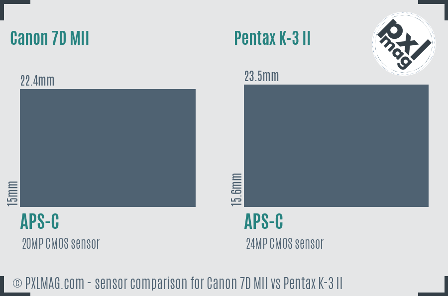 Canon 7D MII vs Pentax K-3 II sensor size comparison