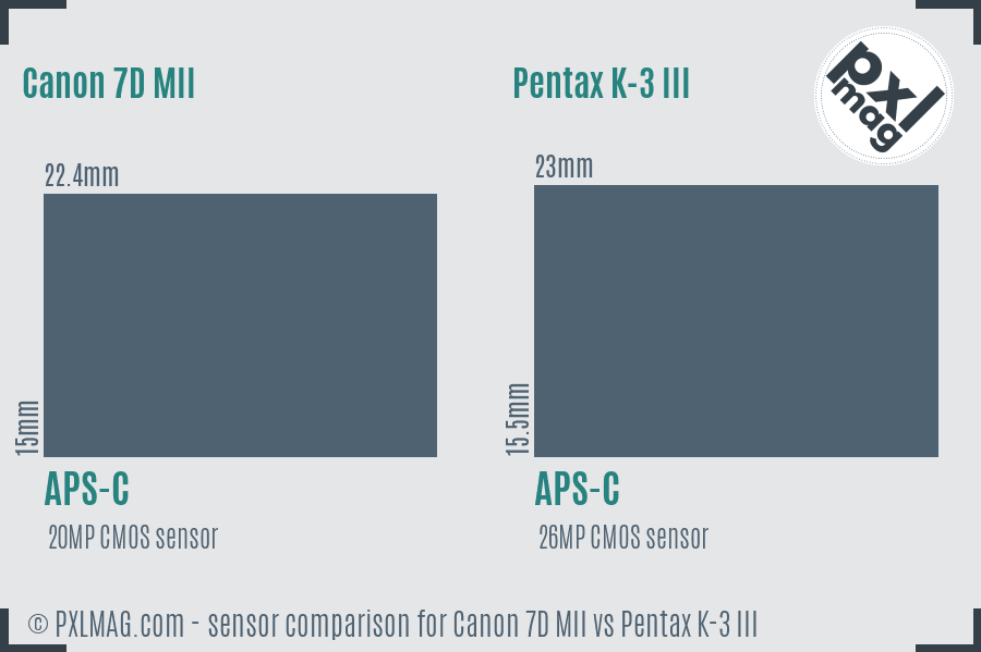Canon 7D MII vs Pentax K-3 III sensor size comparison