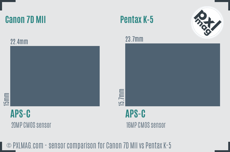 Canon 7D MII vs Pentax K-5 sensor size comparison
