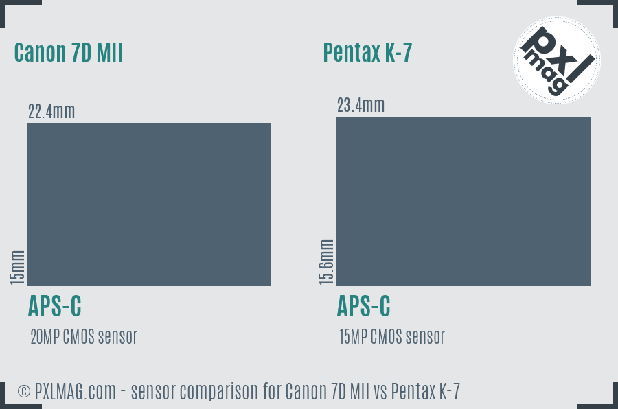 Canon 7D MII vs Pentax K-7 sensor size comparison