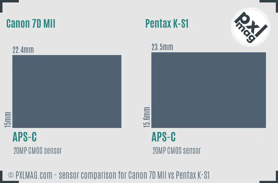 Canon 7D MII vs Pentax K-S1 sensor size comparison