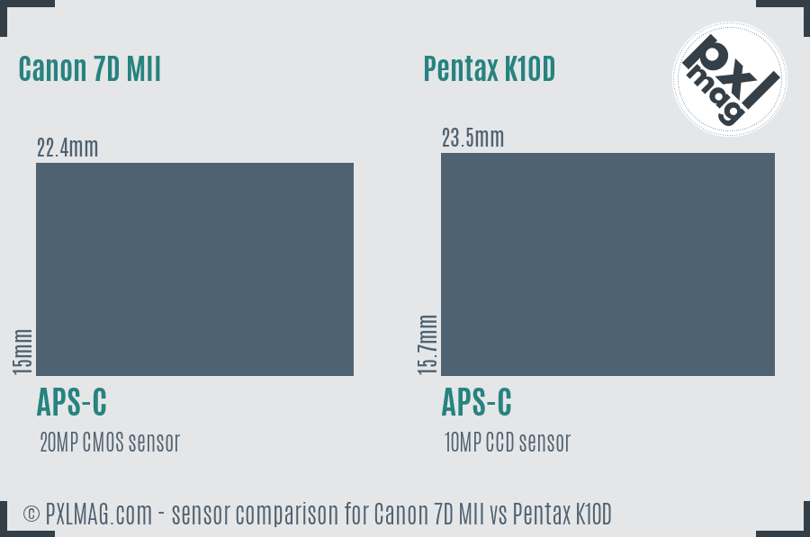 Canon 7D MII vs Pentax K10D sensor size comparison