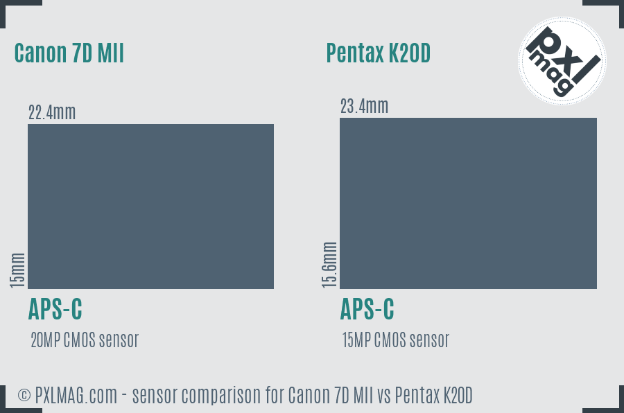 Canon 7D MII vs Pentax K20D sensor size comparison
