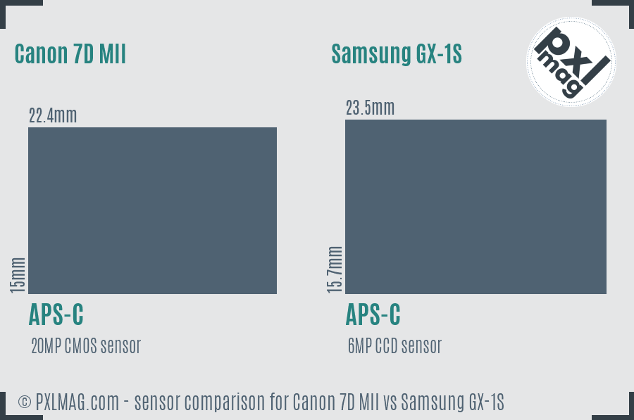 Canon 7D MII vs Samsung GX-1S sensor size comparison