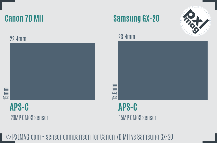 Canon 7D MII vs Samsung GX-20 sensor size comparison