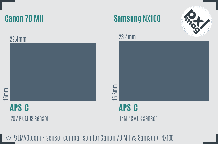 Canon 7D MII vs Samsung NX100 sensor size comparison