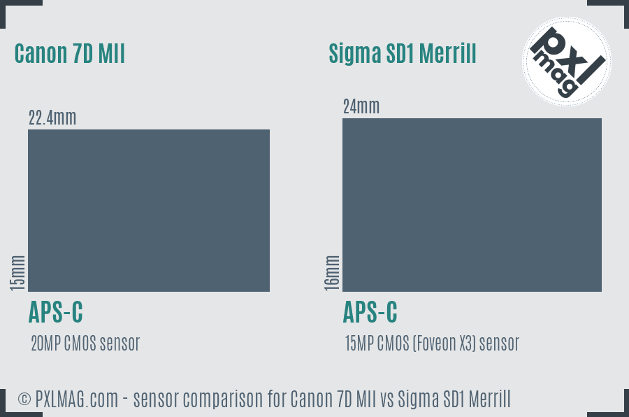 Canon 7D MII vs Sigma SD1 Merrill sensor size comparison