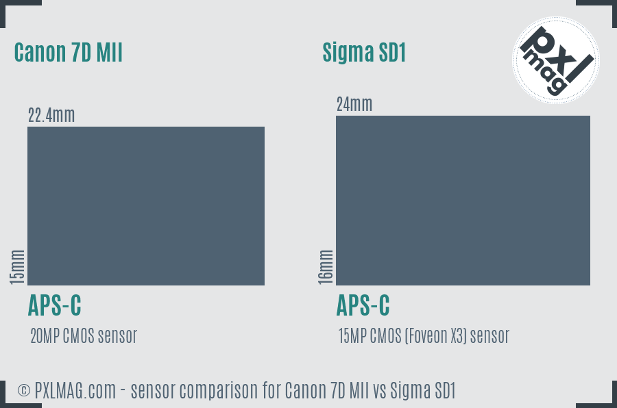 Canon 7D MII vs Sigma SD1 sensor size comparison