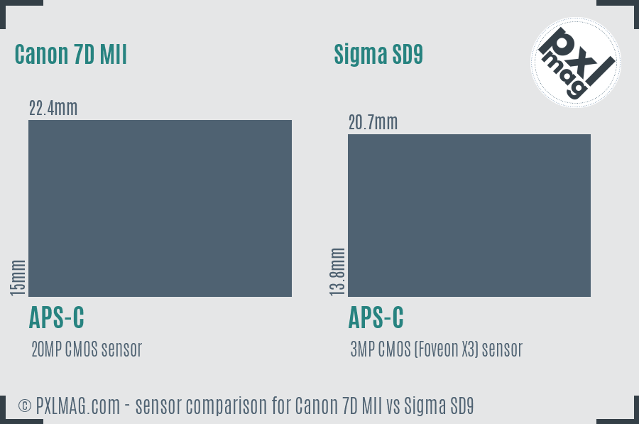 Canon 7D MII vs Sigma SD9 sensor size comparison